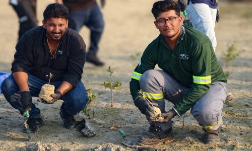 pfc-jebel-ali-mangrove-plantation-03-team-planting