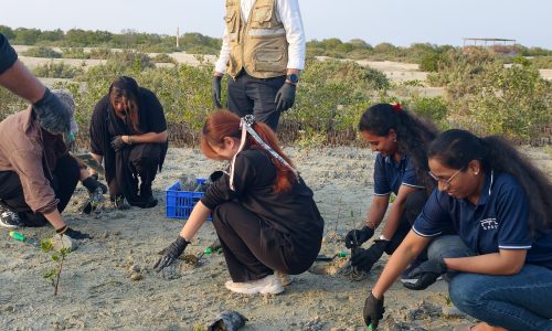 pfc-jebel-ali-mangrove-plantation-05-volunteers-planting