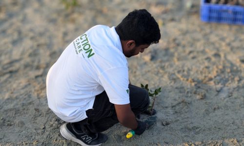 pfc-jebel-ali-mangrove-plantation-09-volunteer-planting